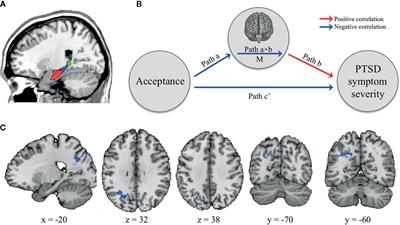 Hippocampal Functional Connectivity Mediates the Impact of Acceptance on Posttraumatic Stress Symptom Severity